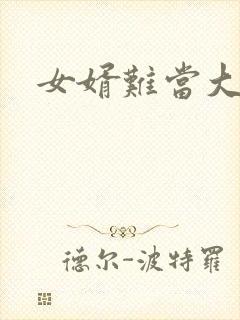 女婿难当大结局