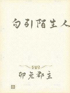 勾引陌生人封面