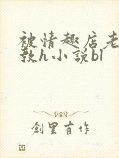 被情趣店老板调教h小说bl封面