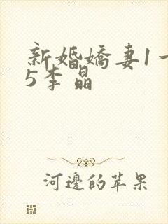 新婚娇妻1一25李晶封面