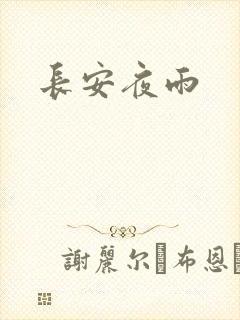 长安夜雨