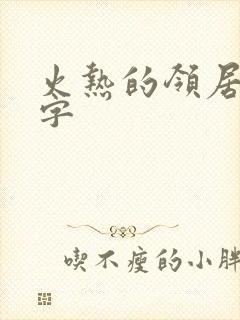 火热的领居中文字