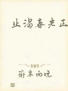 止渴春光正好封面