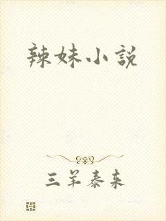 辣妹小说