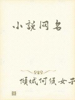 小说网名