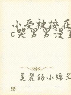 小受被按在墙上c哭男男漫画