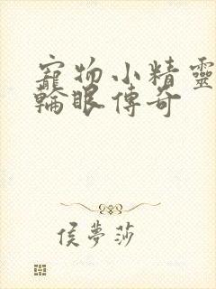 宠物小精灵之写轮眼传奇