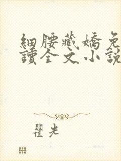 细腰藏娇免费阅读全文小说苏珞浅