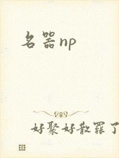 名器np封面