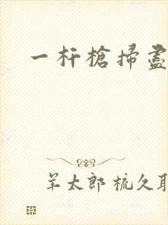 一杆枪扫尽全家封面