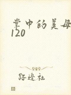 掌中的美母版主120封面