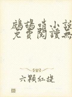 鹧鸪哨小说网站免费阅读无弹窗