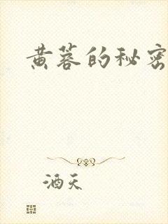 黄蓉的秘密封面