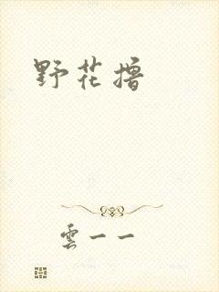 野花撸