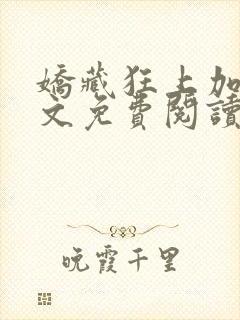 娇藏狂上加狂全文免费阅读笔趣阁封面