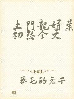 上门龙婿叶辰萧初然全文