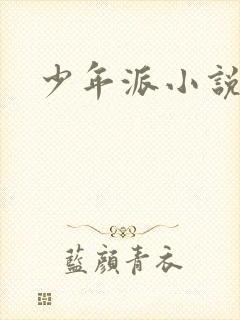 少年派小说