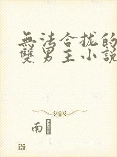 无法合拢的总裁双男主小说