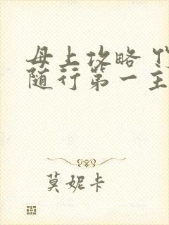 母上攻略 竹影随行第一主板封面