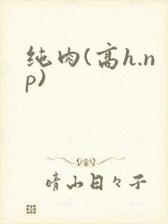 纯肉(高h.np)