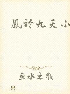 凤于九天小说封面