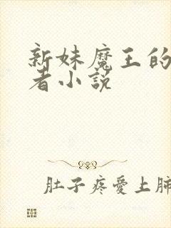 新妹魔王的契约者小说
