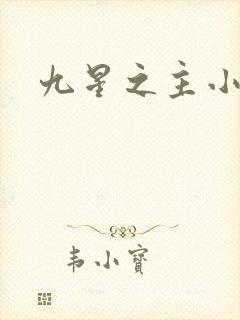 九星之主小说