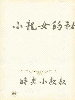 小龙女的秘密封面