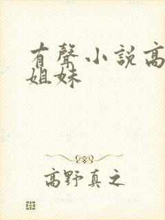 有声小说高树三姐妹封面