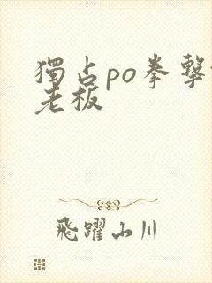 独占po拳击馆老板