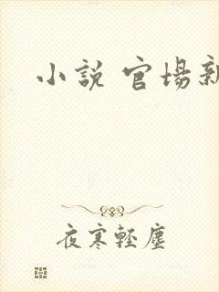 小说 官场新贵封面