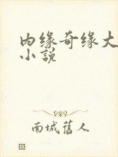 内缘奇缘大团圆小说