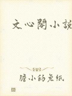 文心阁小说