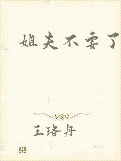 姐夫不要了封面