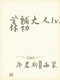 首辅大人1v2林初