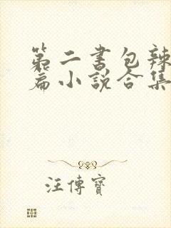 第二书包辣网短篇小说合集