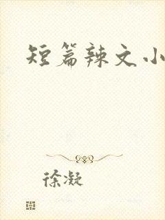 短篇辣文小说