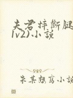 夫君摔断腿后(1v2)小说