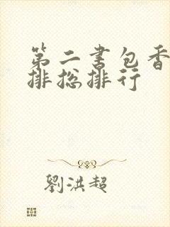 第二书包香辣肉排总排行