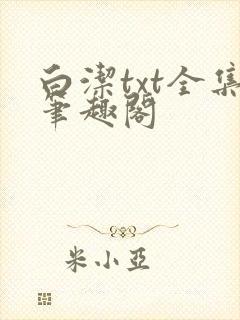白洁txt全集笔趣阁封面