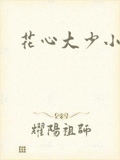 花心大少小说
