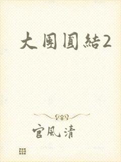 大团圆结2