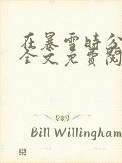 在暴雪时分小说全文免费阅读封面