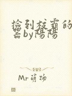 捡到校霸的遥控器by阳阳