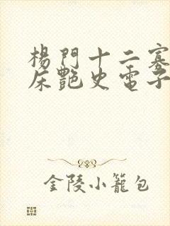 杨门十二寡妇肉床艳史电子书