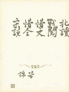 宋惜惜战北望小说全文阅读封面