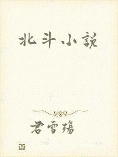 北斗小说