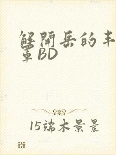 解开岳的丰满奶罩BD封面