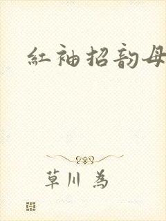 红袖招韵母攻略