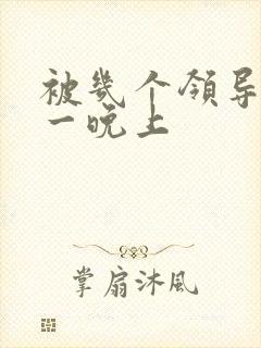 被几个领导玩弄一晚上封面